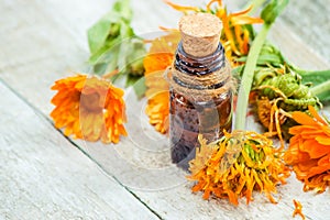 The calendula extract. Medicinal plants.