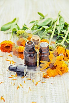 The calendula extract. Medicinal plants. Selective focus