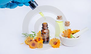 The calendula extract. Medicinal plants. Selective focus