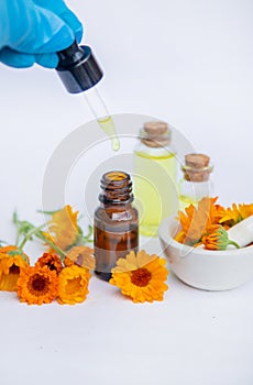 The calendula extract. Medicinal plants. Selective focus