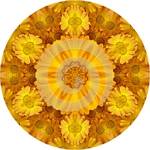 Calendula flowers in the form of kaleidoscope