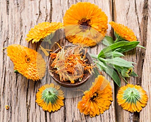 Calendula flowers.