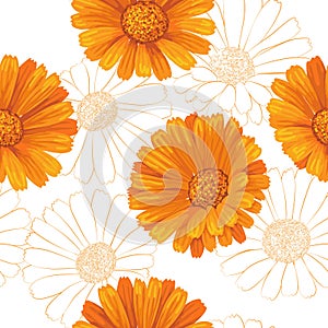 Calendula flowers pattern