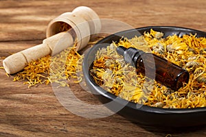 Calendula officinalis - Calendula Oil In Dark Cosmetic Dropper photo