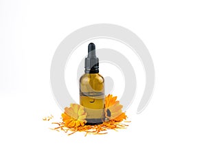 Calendula officinalis the pot marigold tincture.