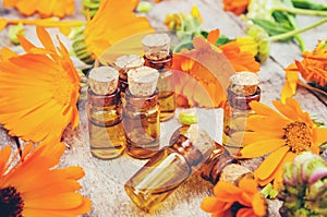 Calendula officinalis on wooden background.