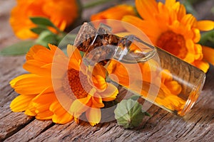 Calendula oil in a glass bottle on an old table horizontal