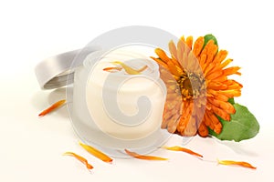 Calendula ointment with flowers