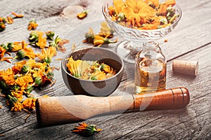Calendula petals on the table. phytotherapy