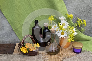 Calendula is a source of health.