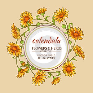 Calendula vector frame