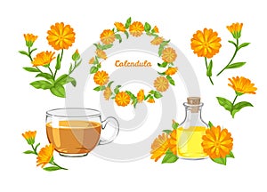 Calendula vector set. Marigold flowers wreath, tea, calendula oil and bouquet in cartoon simple flat style.