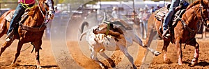 Australian Team Calf Roping Rodeo Event photo