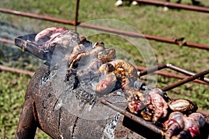 Calf fries or Rocky Mountain Oysters