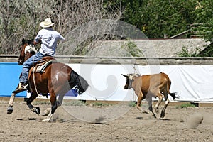 Calf Roping