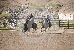 Calf roping,
