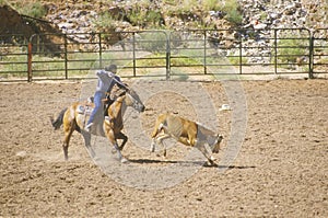 Calf roping