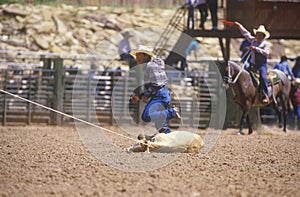 Calf roping