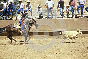 Calf roping