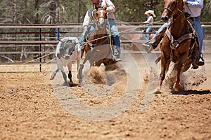 Calf Roping Competition At An Australian Rodeo