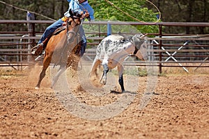 Calf Roping Competition At An Australian Rodeo