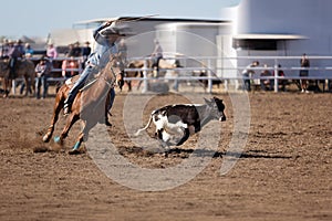 Calf Roping At A Country Rodeo