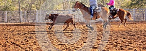 Calf Roping Event At Country Rodeo