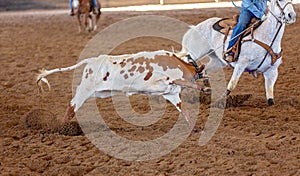 Calf Roping At An Outback Rodeo