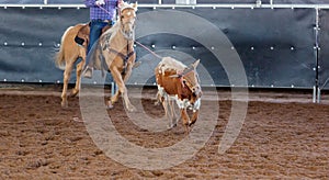 Calf Roping At An Outback Rodeo