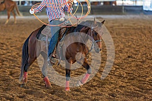 Calf Roping At An Outback Rodeo