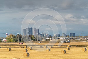 Calgary skyline with farms and hay bales after harvest