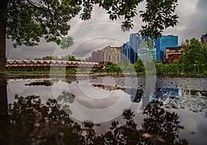 Calgary Skyline Puddle Reflections