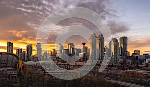 Calgary skyline at sunset