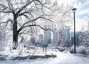 Calgary viewpoint of downtown in winter landscape