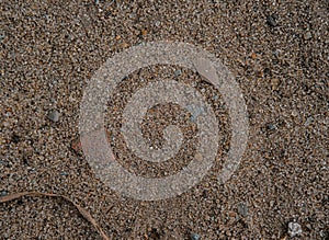 Calibrated Quartz Sand. Macro.