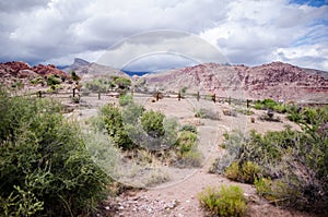 Calico Basin area of Red Rock Canyon National Conservation Area