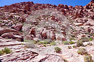 Calico Basin, Red Rock Conservation Area, Southern Nevada, USA