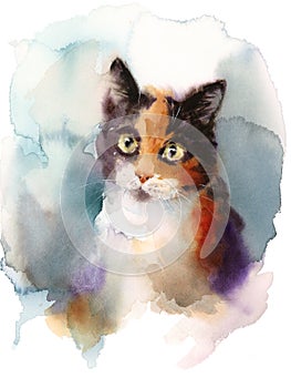 Calico Cat Watercolor Pet Portrait Illustration Hand Painted