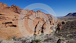 Calico Hills, Red Rock Conservation Area, Southern Nevada, USA