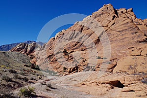 Calico Hills, Red Rock Conservation Area, Southern Nevada, USA photo