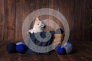 Calico Kitten in a Basket of Knitting Yarn on Wooden Background