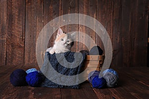 Calico Kitten in a Basket of Knitting Yarn on Wooden Background photo