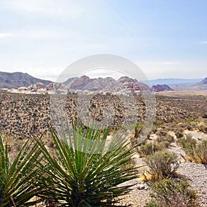 Calico Tanks, Red Rock Conservation Area, Southern Nevada, USA