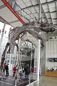 California Academy of Sciences