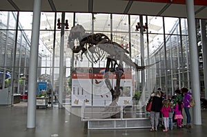 California Academy of Sciences