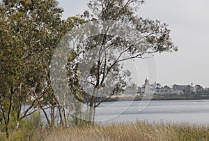 California Adventure Series - Lake Murray Community Park - La Mesa San Diego California