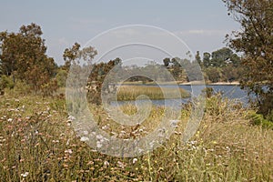 California Adventure Series - Lake Murray Community Park - La Mesa San Diego California