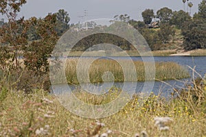 California Adventure Series - Lake Murray Community Park - La Mesa San Diego California