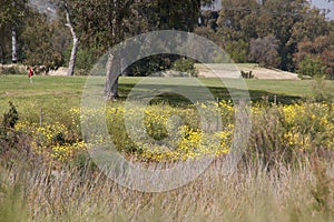 California Adventure Series - Lake Murray Community Park - La Mesa San Diego California