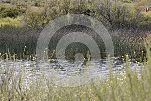 California Adventure Series - Lake Murray Community Park - La Mesa San Diego California